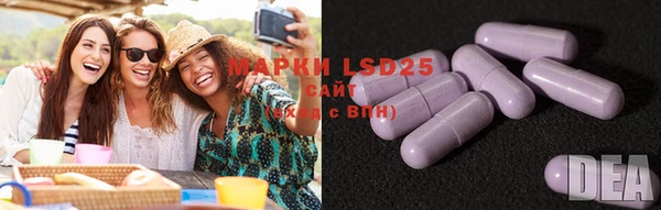 PSILOCYBIN Абдулино