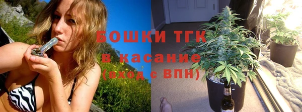 PSILOCYBIN Абдулино