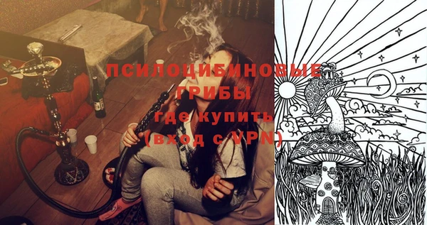 PSILOCYBIN Абдулино