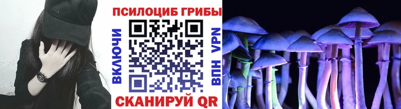 хочу наркоту  Уфа  Псилоцибиновые грибы ЛСД 